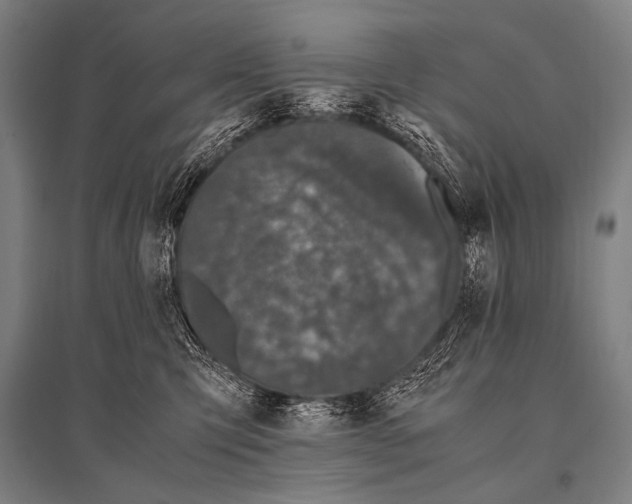 X0000094820423200712141649