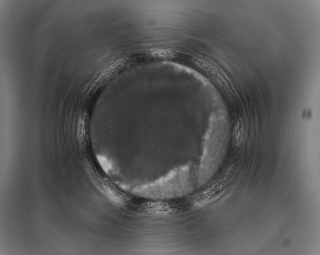 X0000094820424200712141649