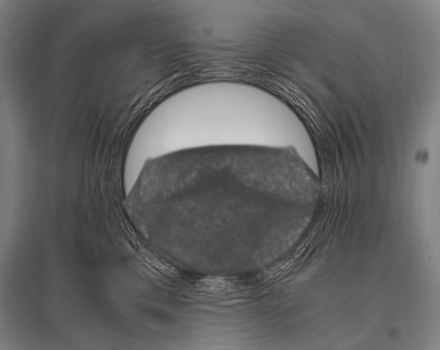 X0000094820425200712141649