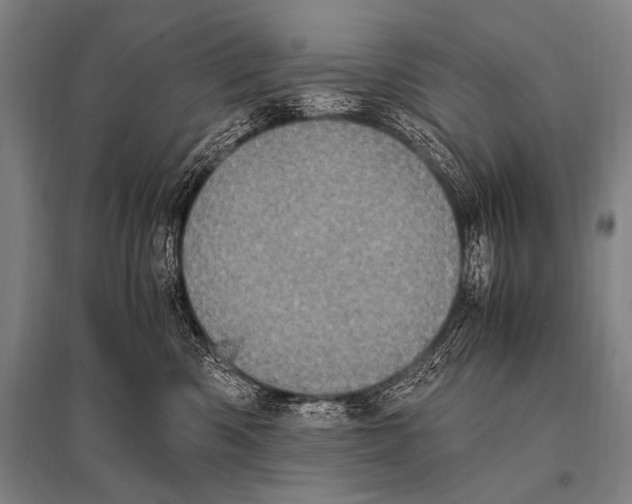 X0000094820426200712141649