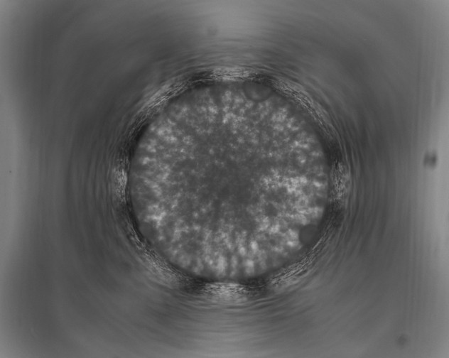 X0000094820427200712141649