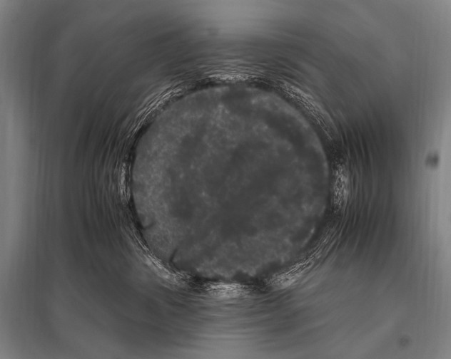 X0000094820428200712141649