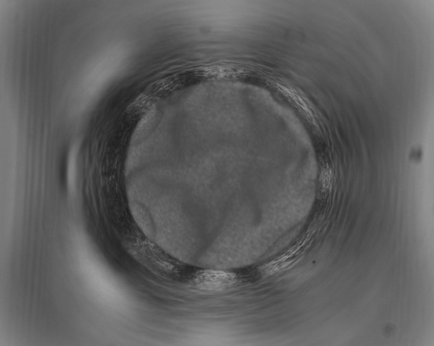 X0000094820429200712141649