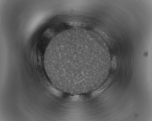 X0000094820430200712141649