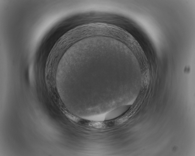 X0000094820431200712141649