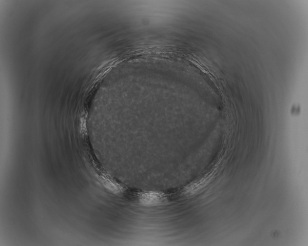 X0000094820432200712141649