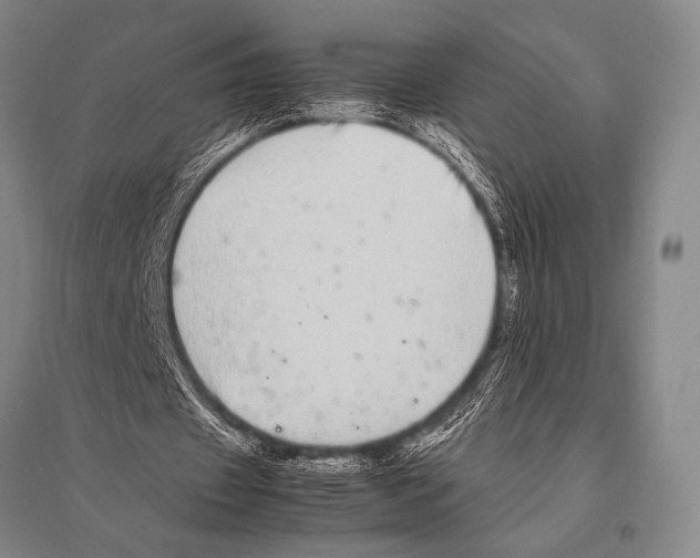 X0000094820433200712141648