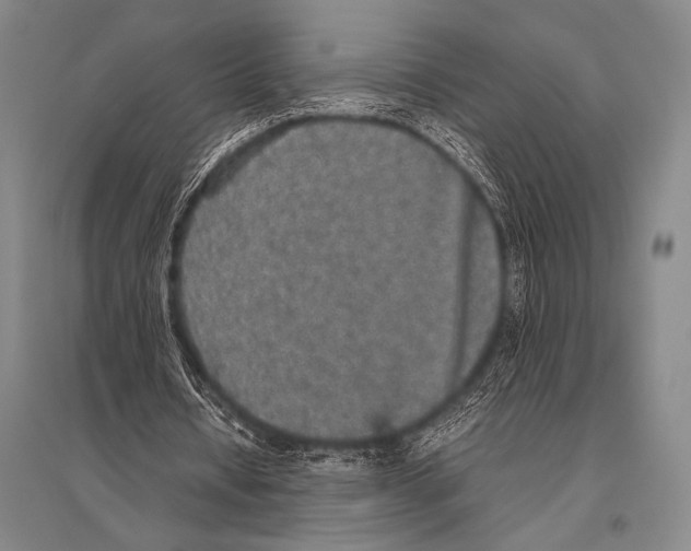 X0000094820434200712141648