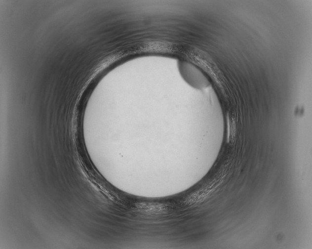 X0000094820435200712141648