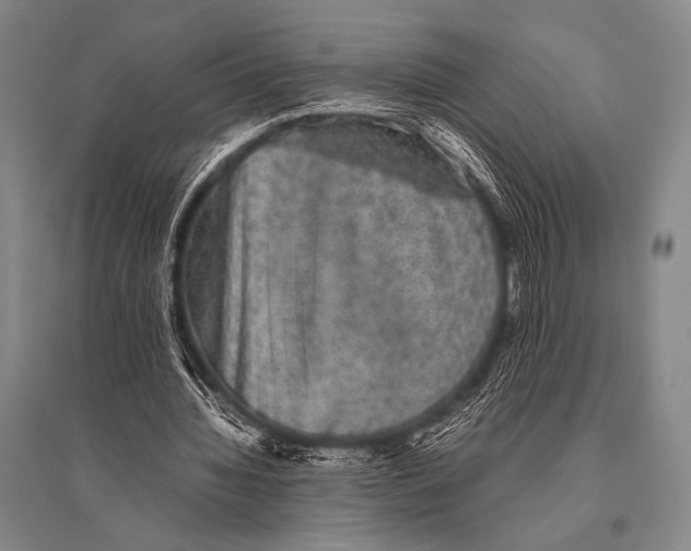 X0000094820436200712141648