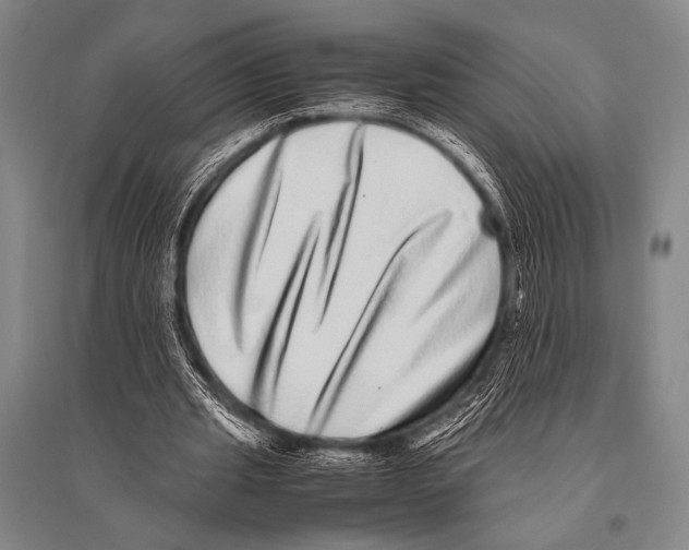 X0000094820437200712141648