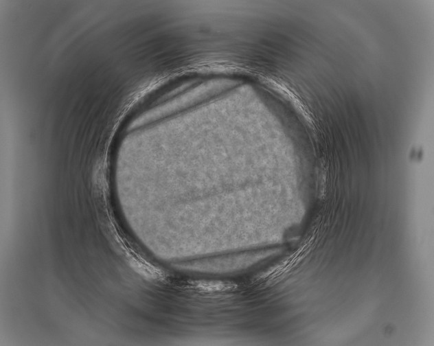 X0000094820439200712141648