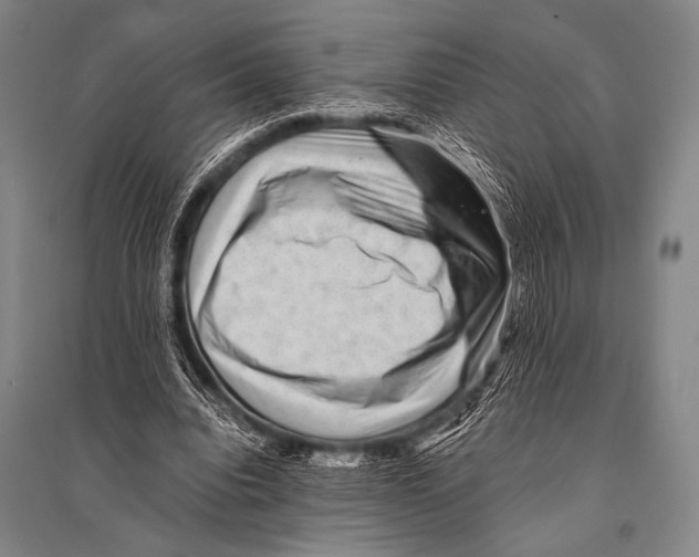 X0000094820440200712141648