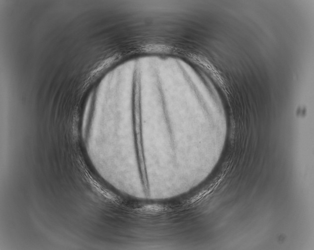 X0000094820441200712141648