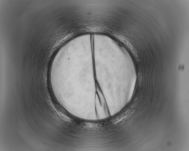 X0000094820442200712141648