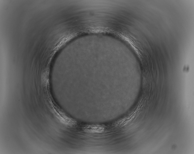 X0000094820443200712141648