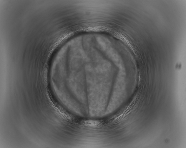 X0000094820444200712141648