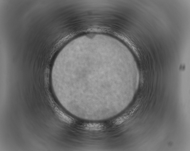 X0000094820445200712141648