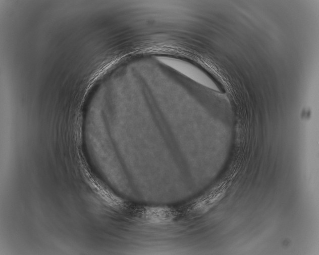 X0000094820446200712141648