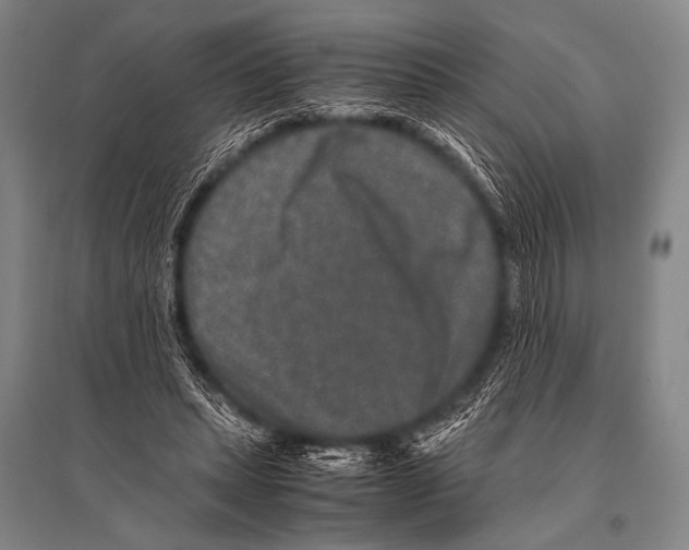 X0000094820447200712141648