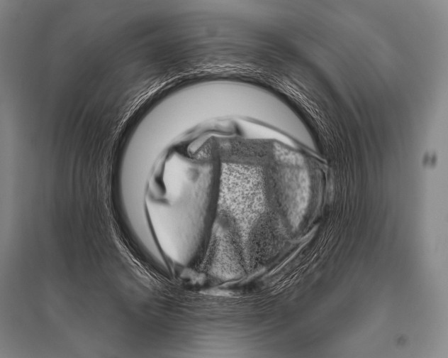 X0000094820448200712141648