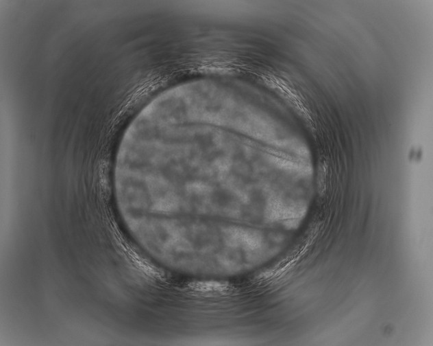 X0000094820449200712141648