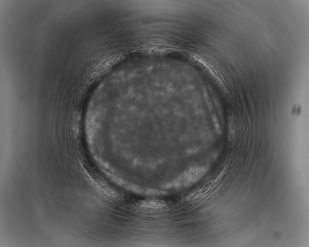 X0000094820451200712141648