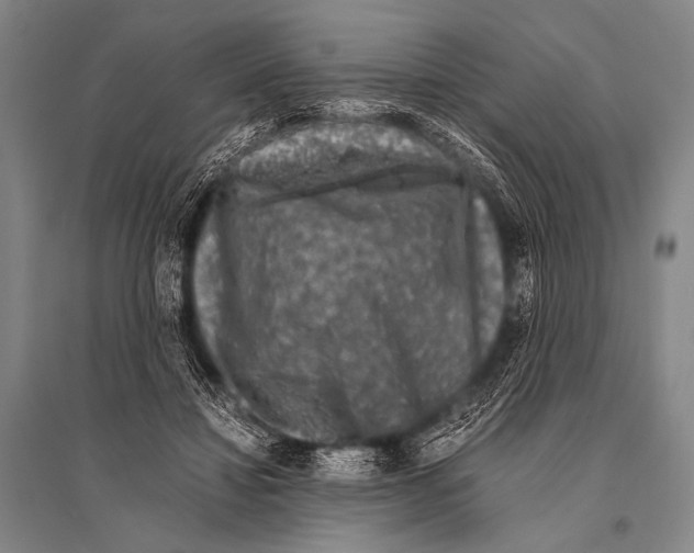 X0000094820452200712141648