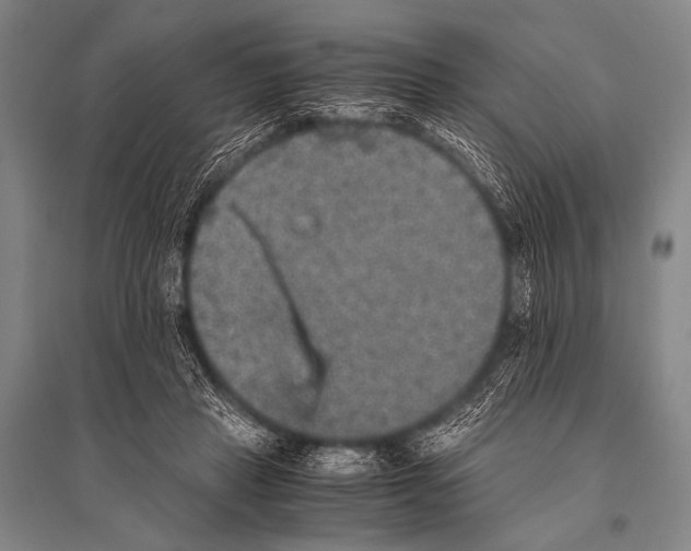 X0000094820453200712141648