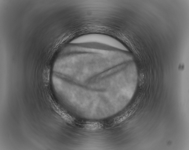 X0000094820454200712141648