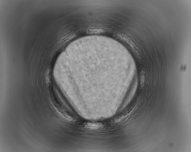 X0000094820455200712141648