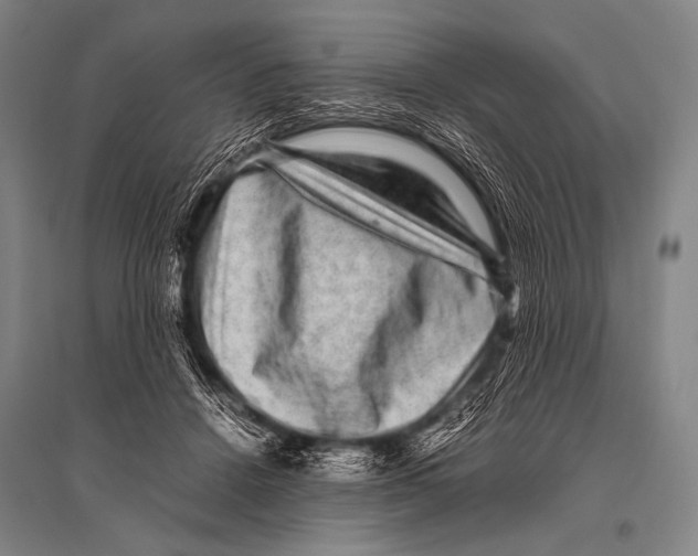 X0000094820456200712141648