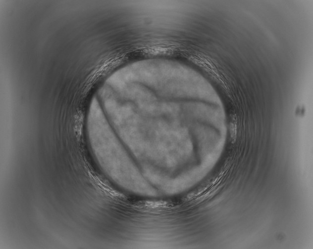 X0000094820458200712141648