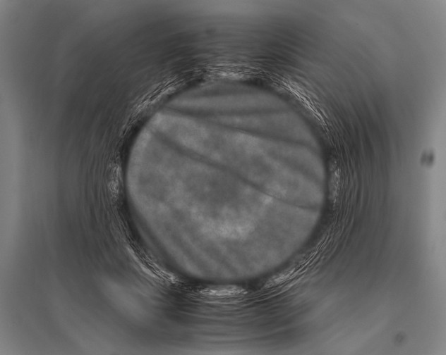 X0000094820459200712141648