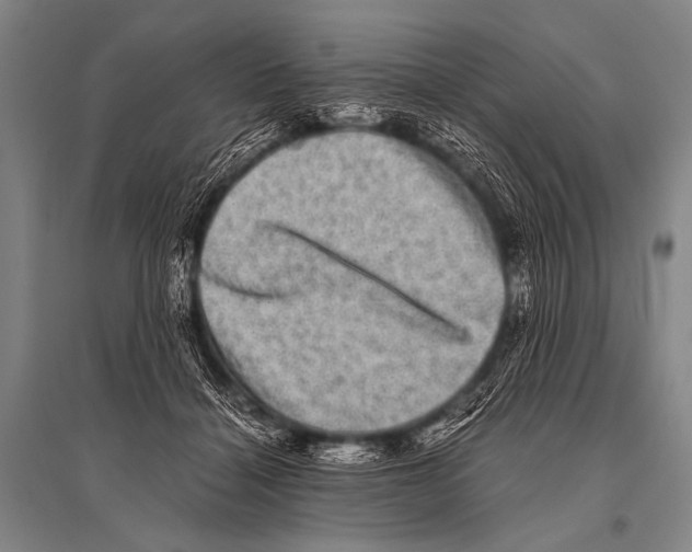 X0000094820460200712141649