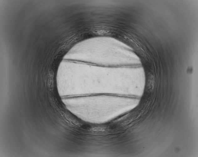 X0000094820461200712141649