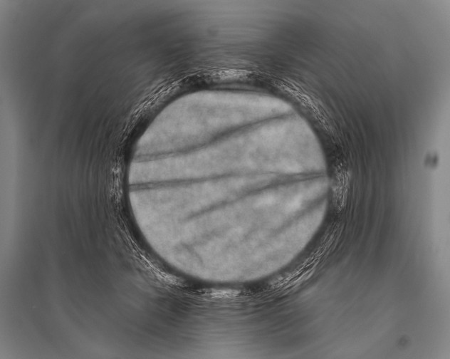 X0000094820462200712141649