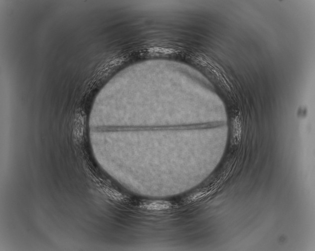 X0000094820463200712141649