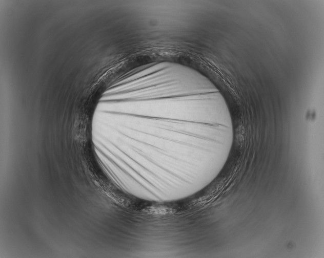 X0000094820464200712141649