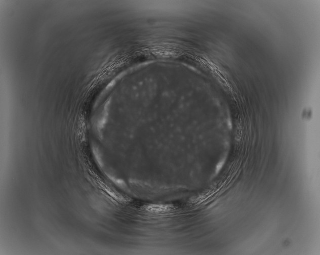 X0000094820465200712141649