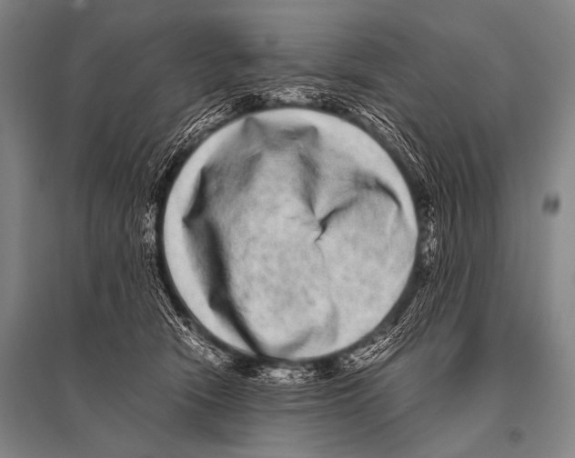 X0000094820466200712141649