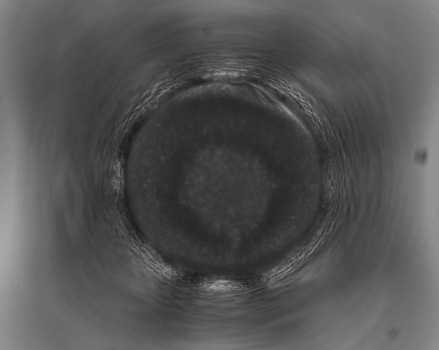 X0000094820467200712141649