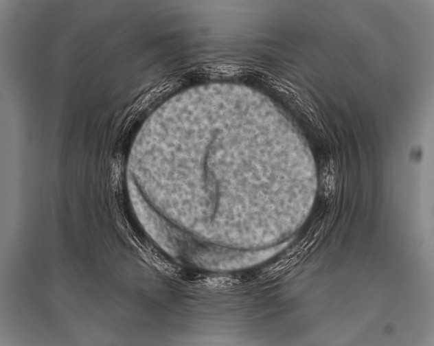 X0000094820468200712141649