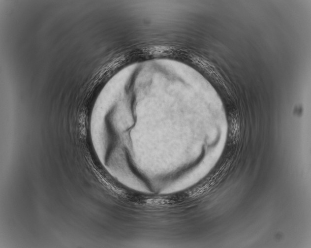 X0000094820470200712141649