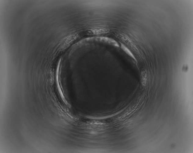 X0000094820471200712141649