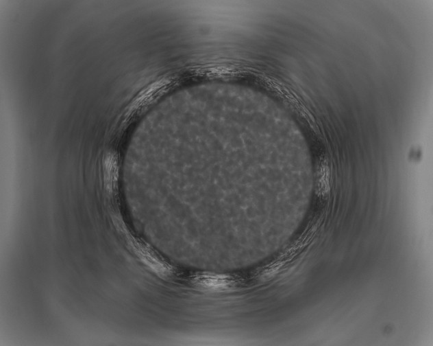 X0000094820472200712141649