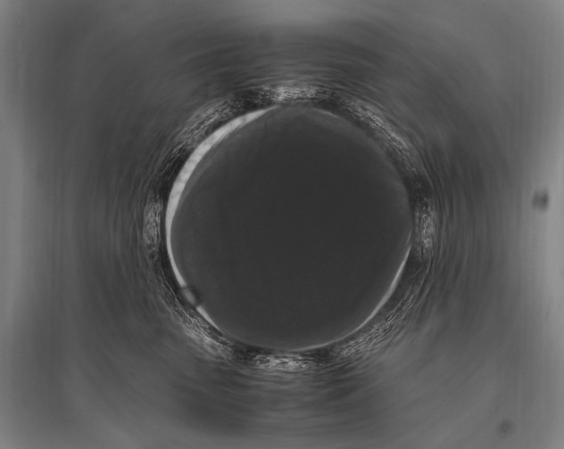 X0000094820475200712141649