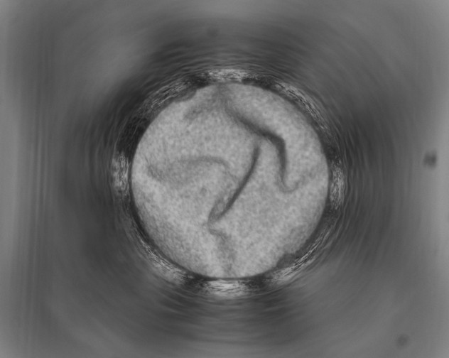 X0000094820477200712141649