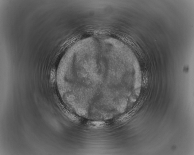 X0000094820478200712141649