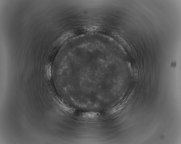 X0000094820479200712141649